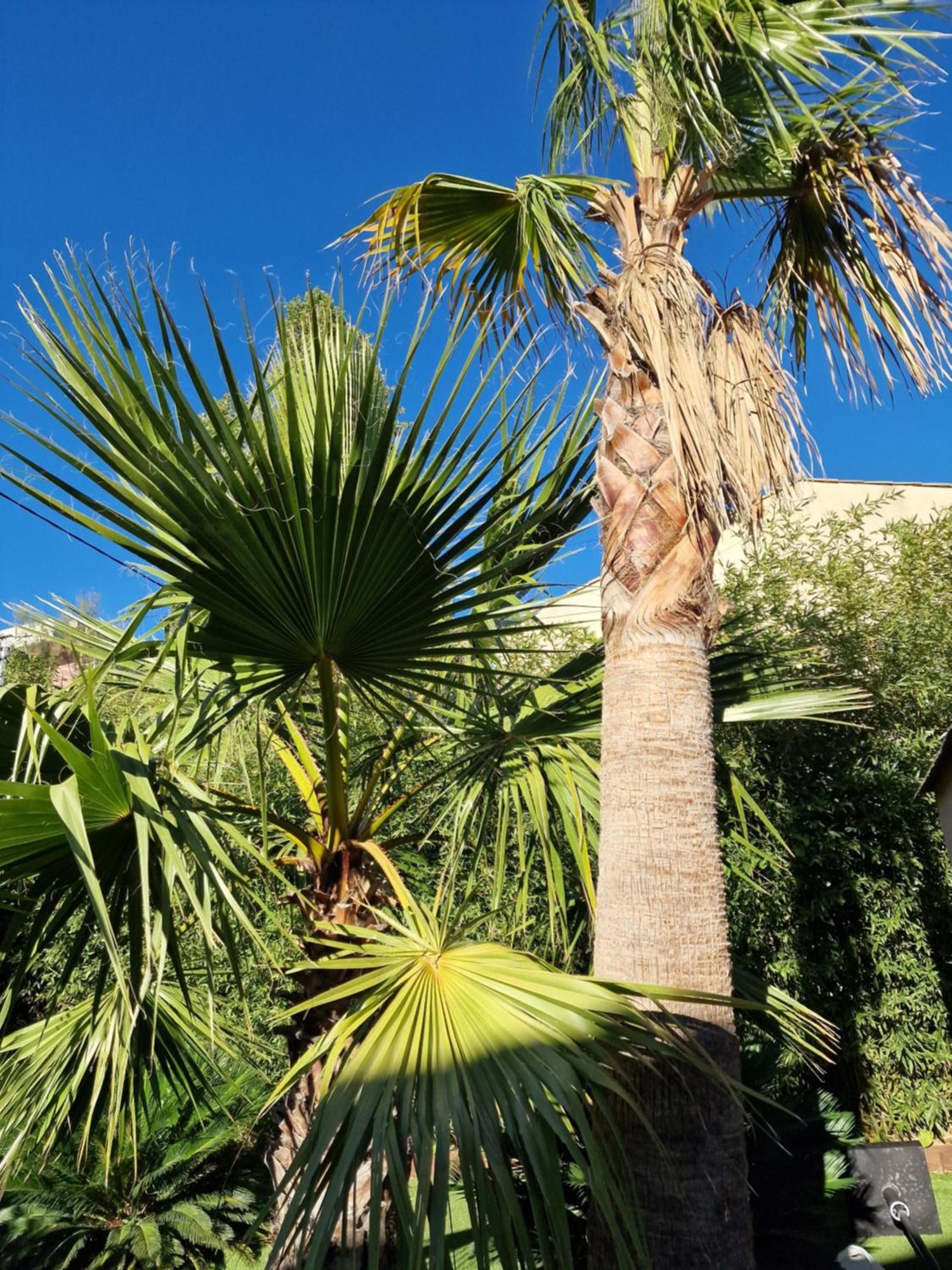 Haut De Villa A 700 Metres De La Plage, Totalement Independant Et Accessible Par Un Escalier Exterieur Sainte-Maxime Exteriér fotografie